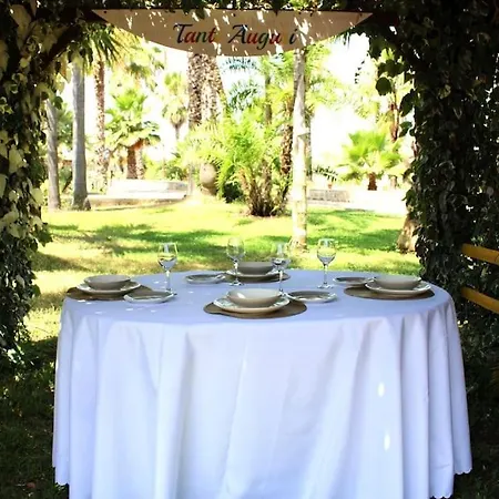 Tropical Garden *